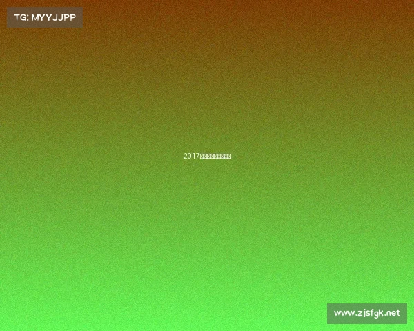 2017全国武术套路锦标赛